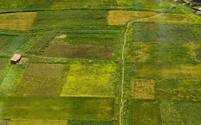 Global Warming Causes Rapid, Drastic Changes