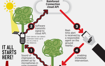 New Start Up Uses Recycled Smartphones to Stop Deforestation