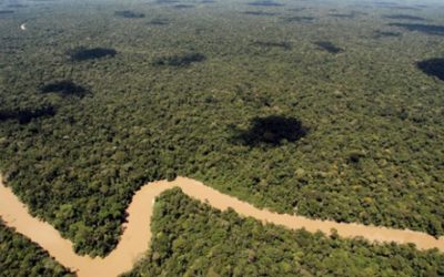 Ecuador Approves Oil Drilling in Yasuni National Park