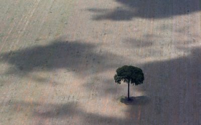 Photo Story: Aerial Images of Deforestation in the Amazon Rainforest