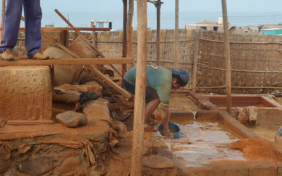 Forced Labor in Peru’s Gold Mines
