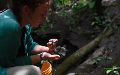 Amazon Aid Foundation Sponsors Two ACEER Foundation Artist Fellows